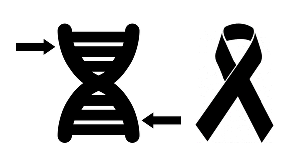 Cancer predisposition gene panel